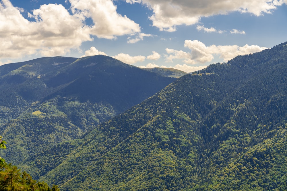 a landscape with trees and mountains