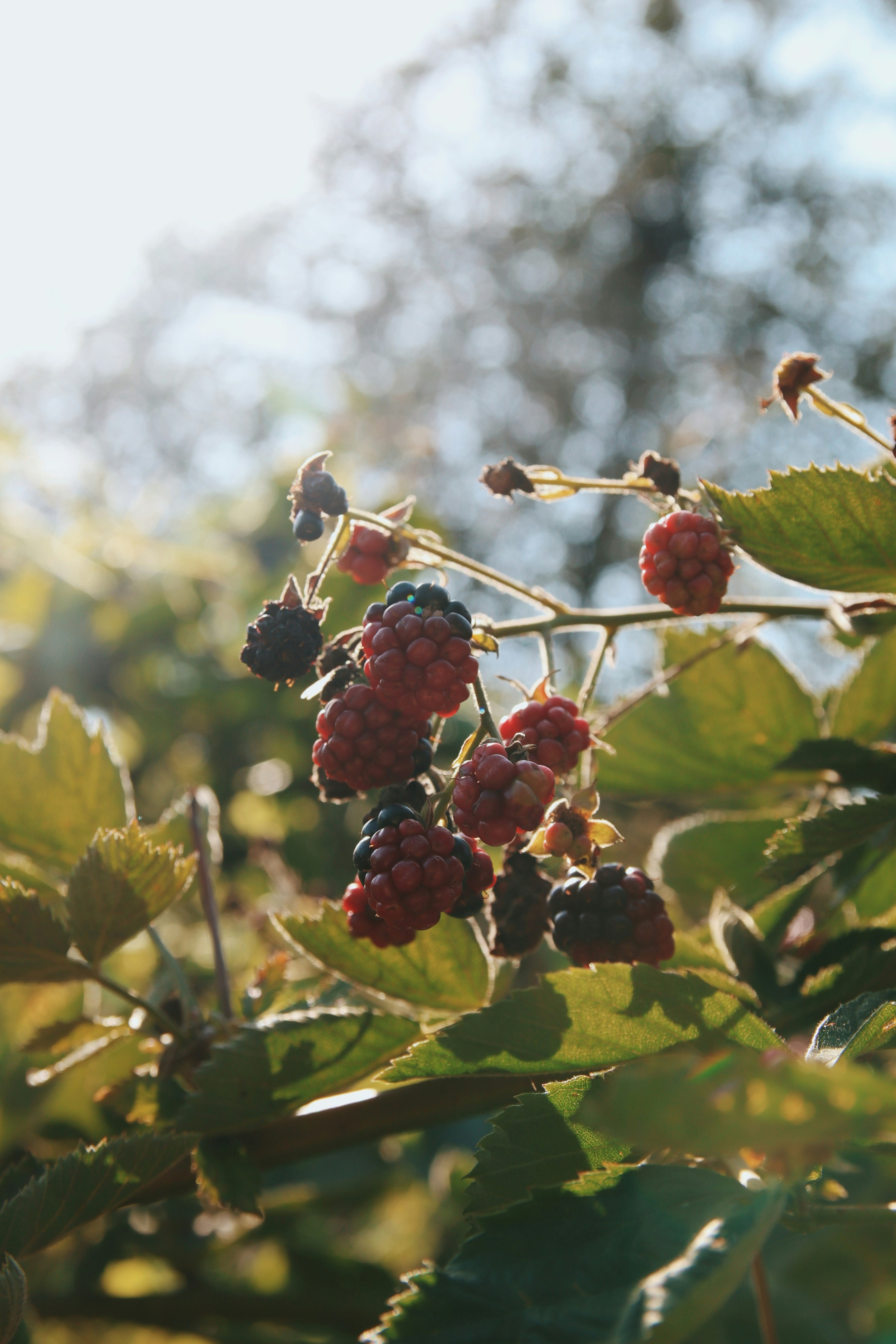 Photo by feeling_hope