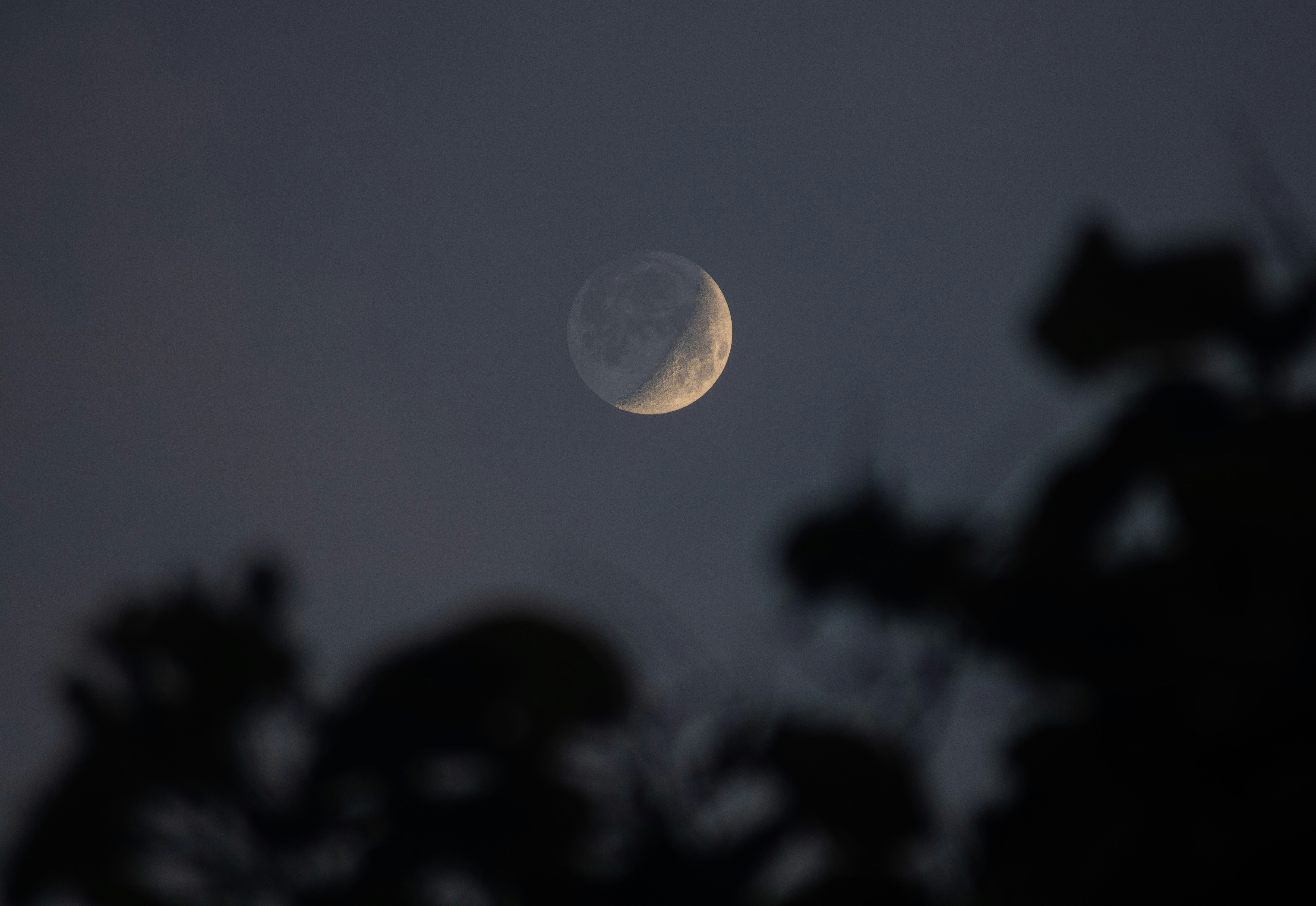 Photo by daniel_castellon20