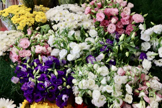 Bright and cheerful mixed flower arrangement featuring lilac, magenta, and white blooms