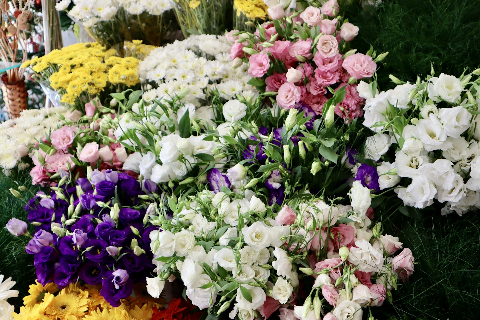 a group of flowers
