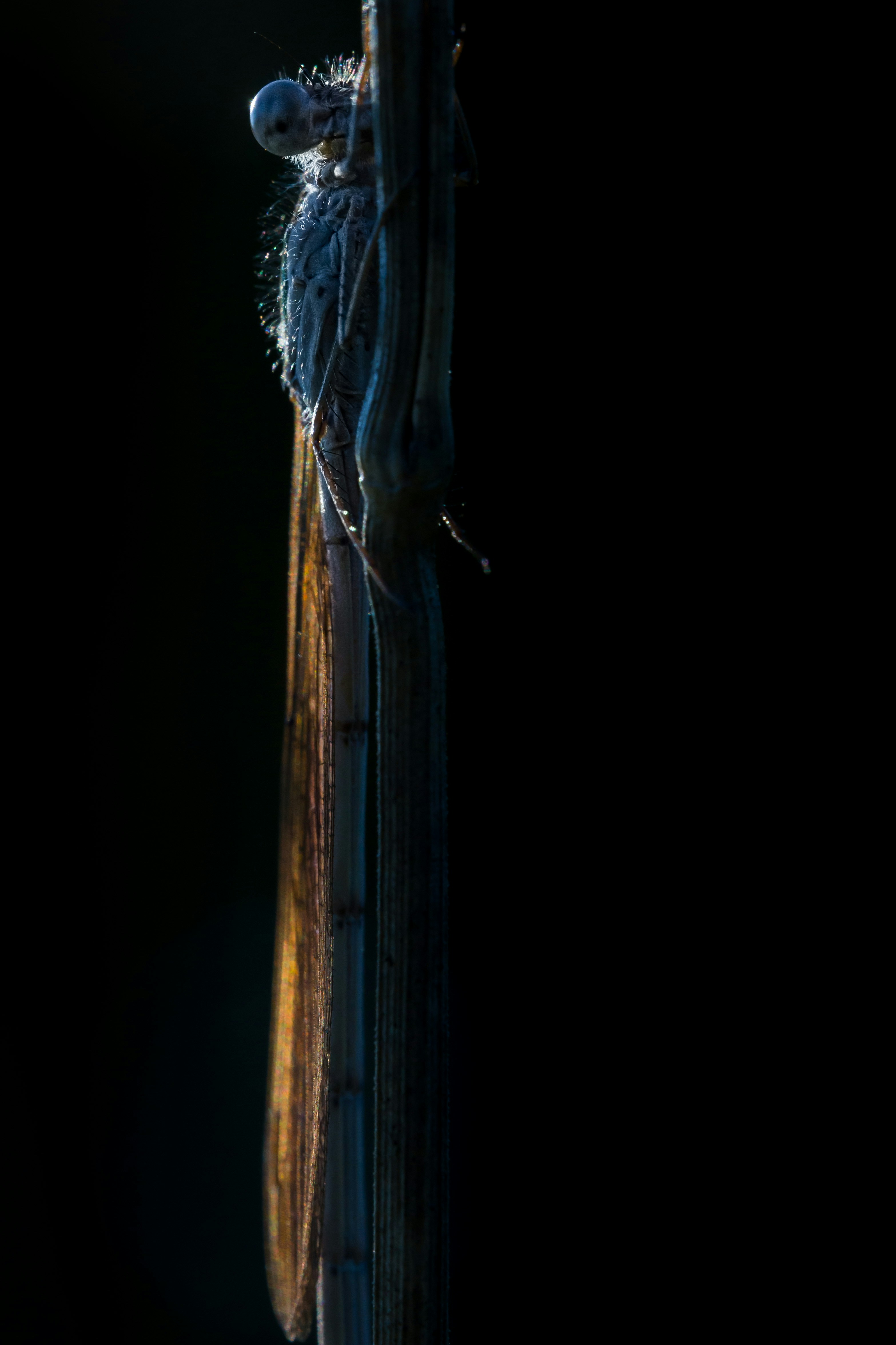 Photo by mxm_gilbert