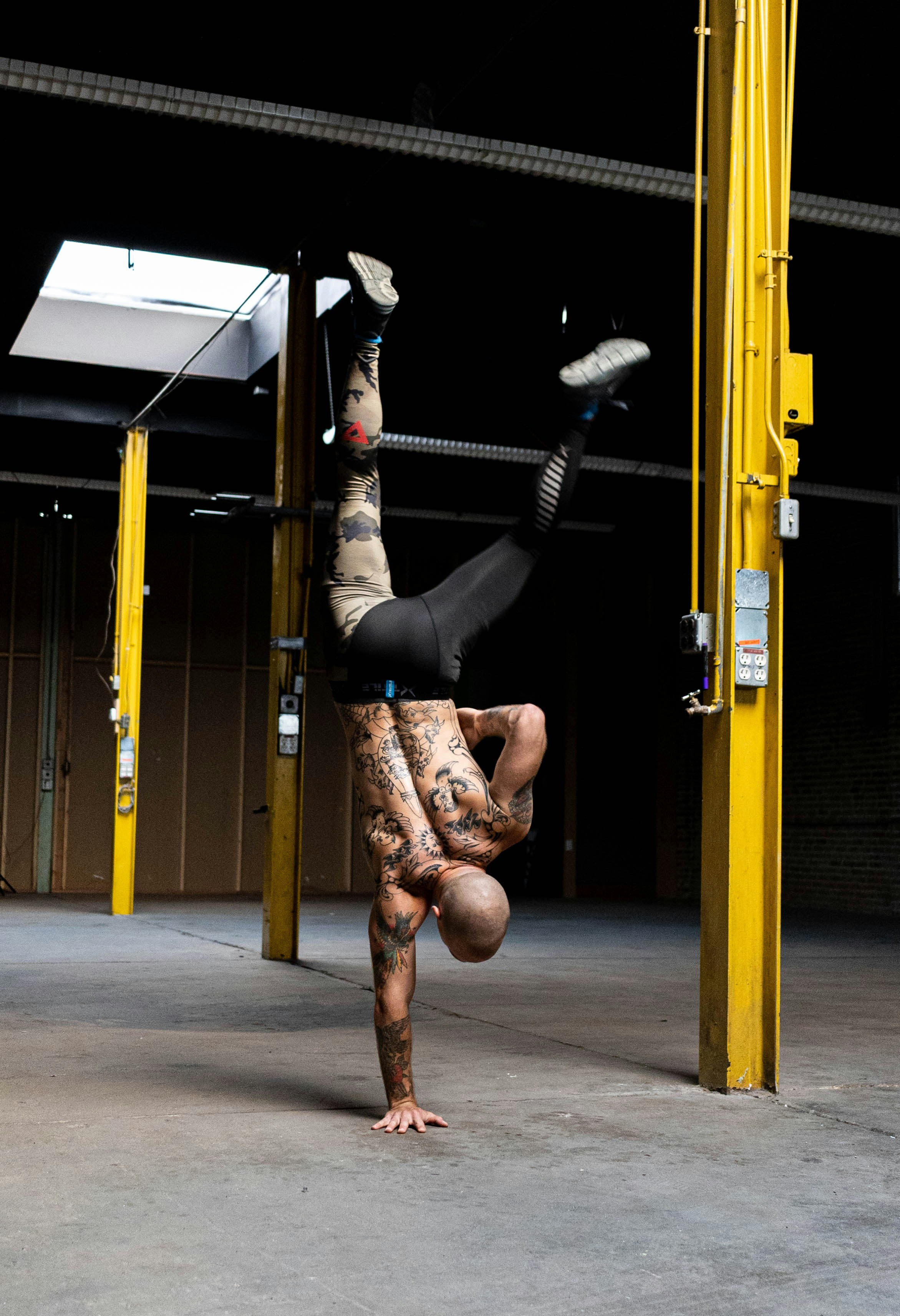 Human Prehistory—Why New Discoveries About Human Origins Open Up Revolutionary Possibilities