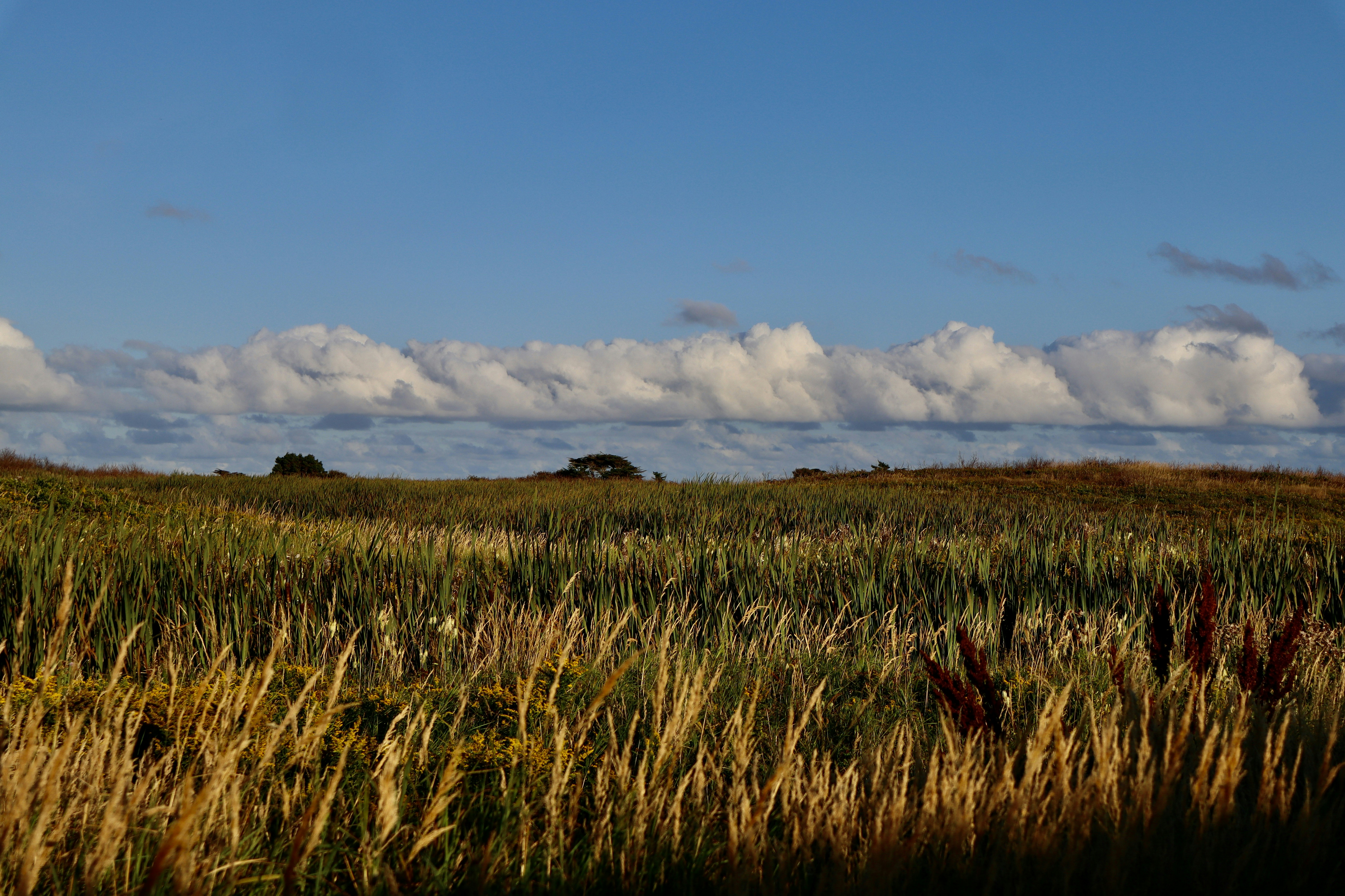 Photo by onestdesgamins