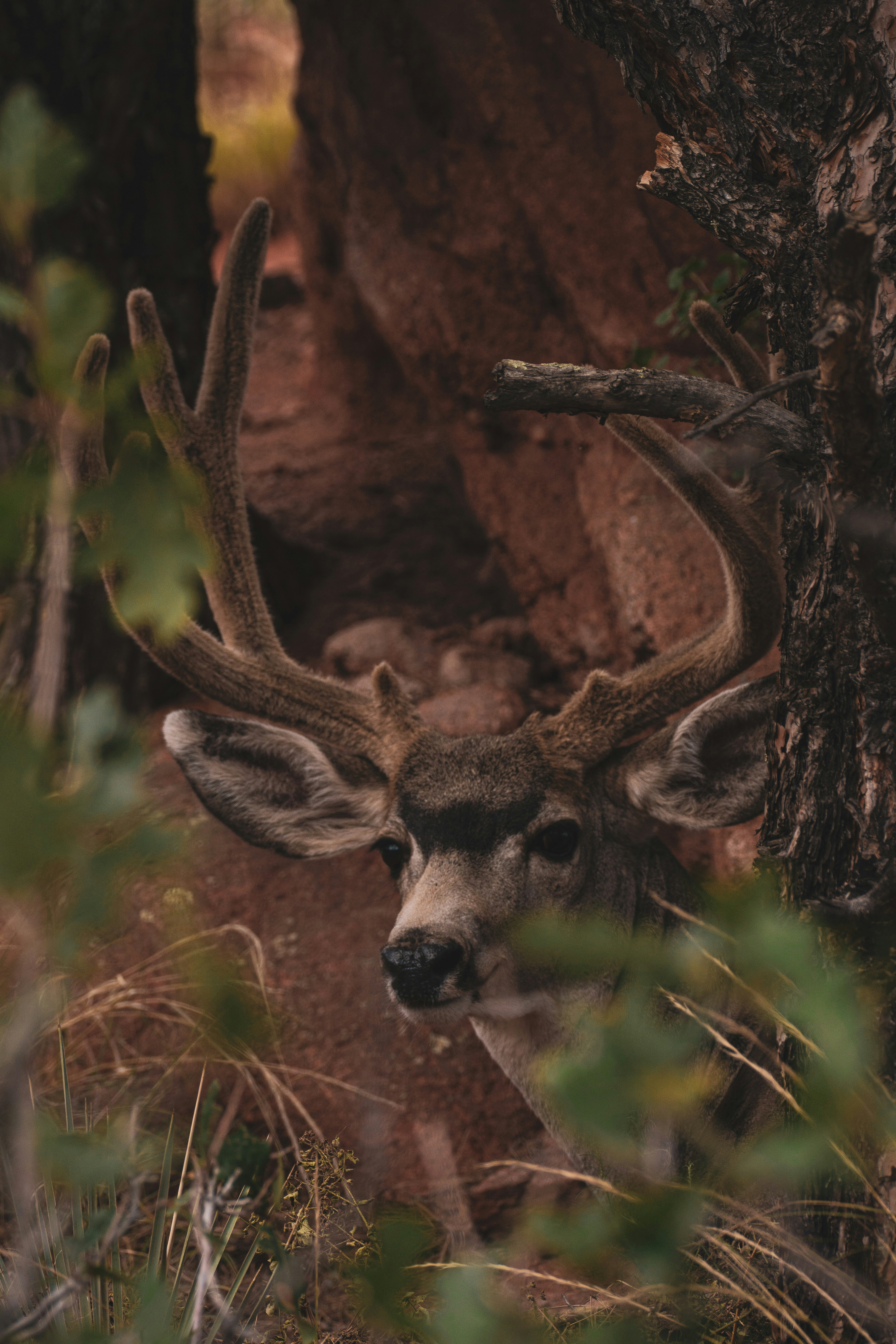 Photo by keepitchassephotography