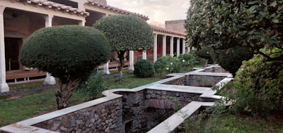 Stylish topiaries arranged in a chic setting.