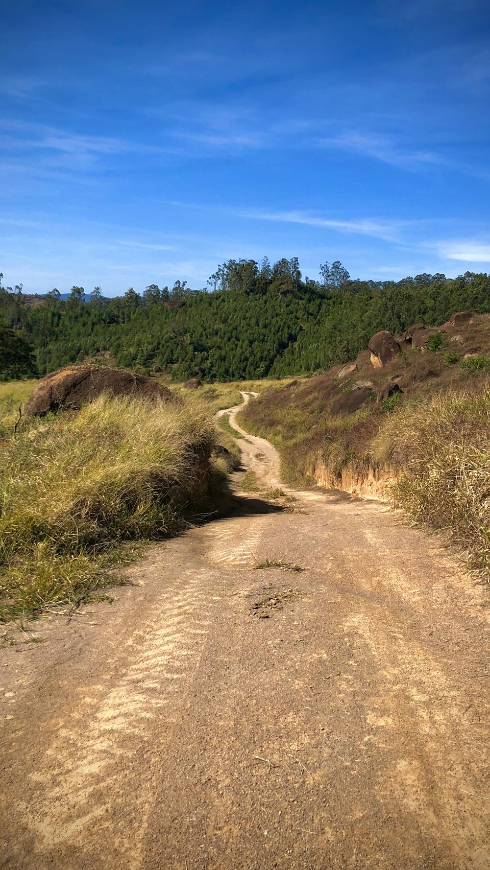 a dirt road in the middle of a grassy area