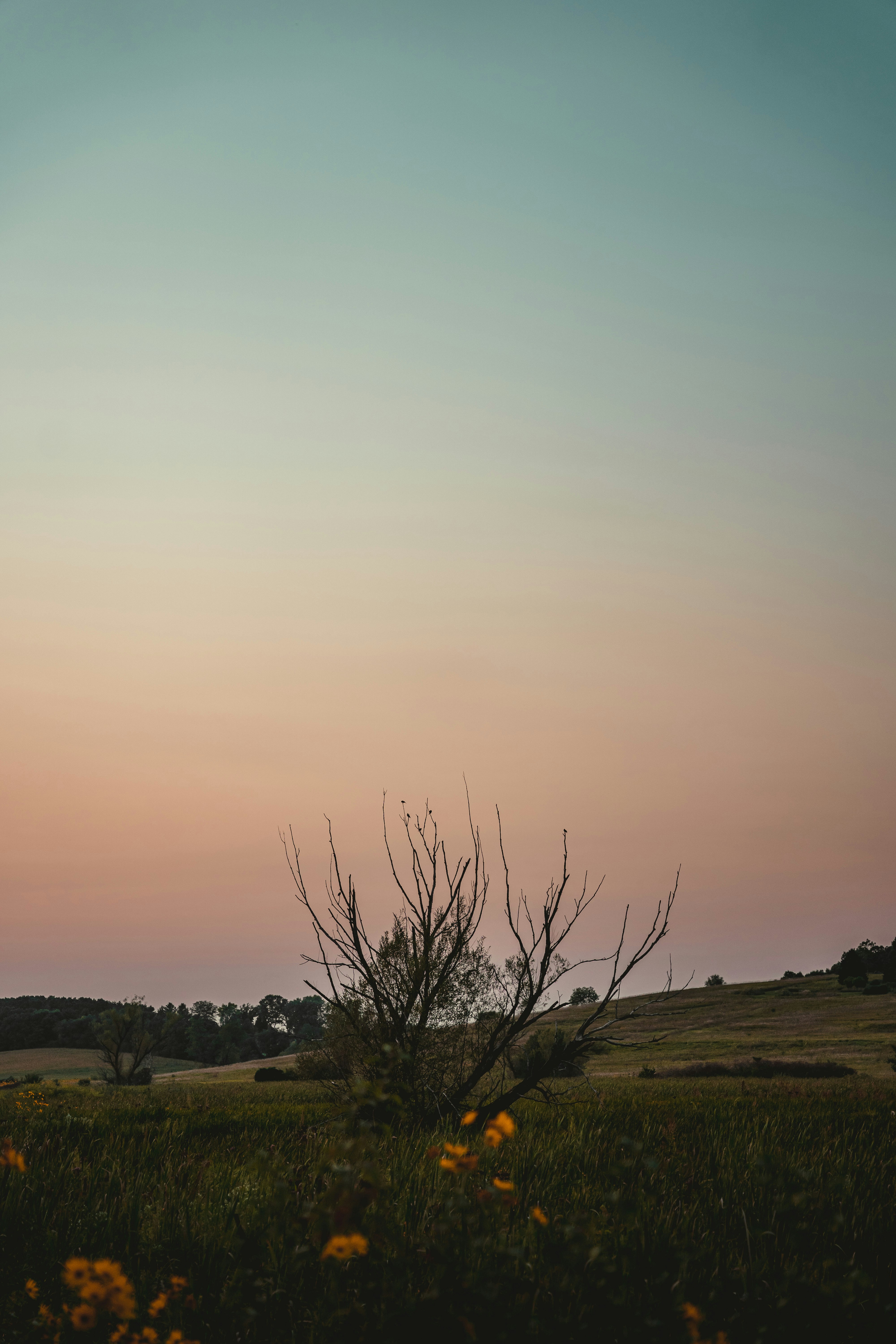 Photo by prestonbousley