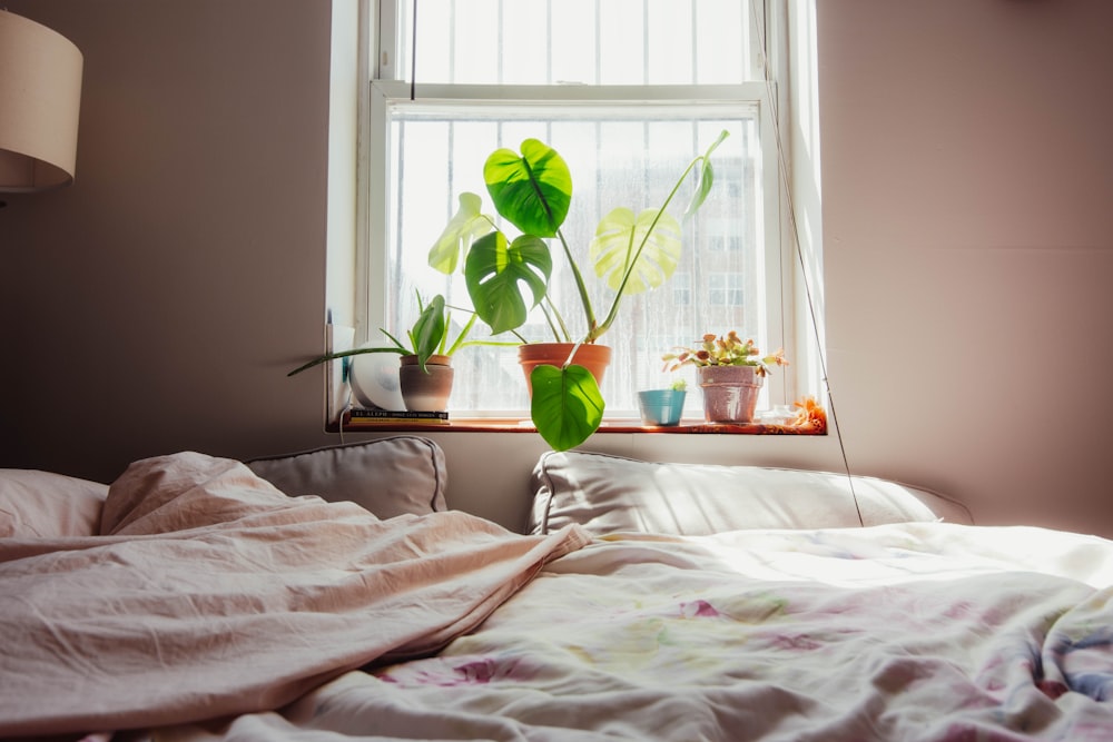 a window with potted plants on a bed