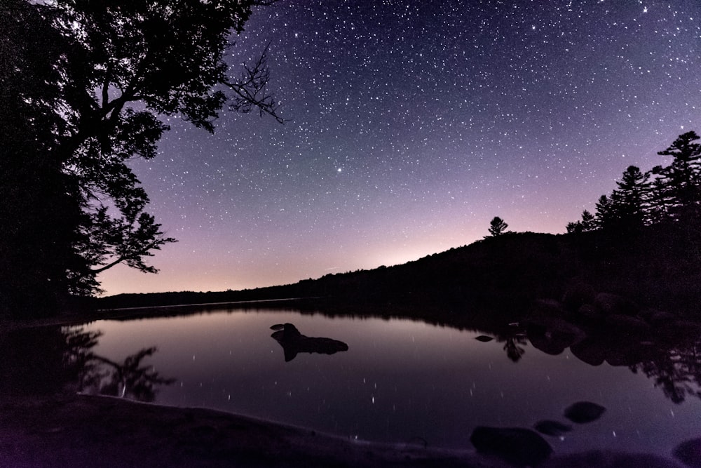 a body of water with trees and stars in the sky
