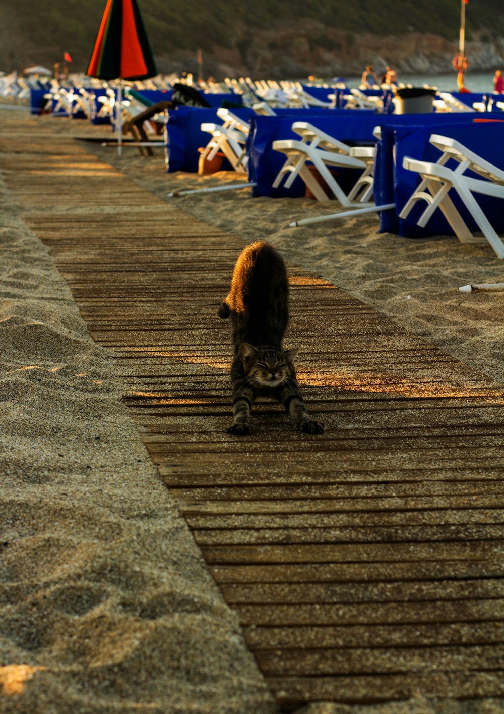 a girl walking on a boardwalk