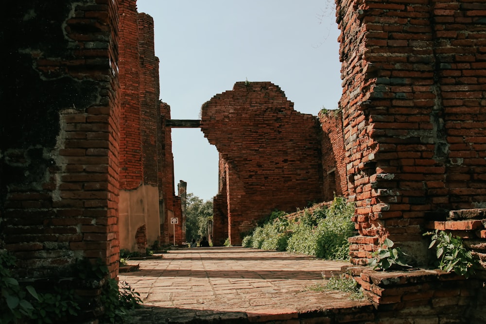 a brick walkway between brick buildings