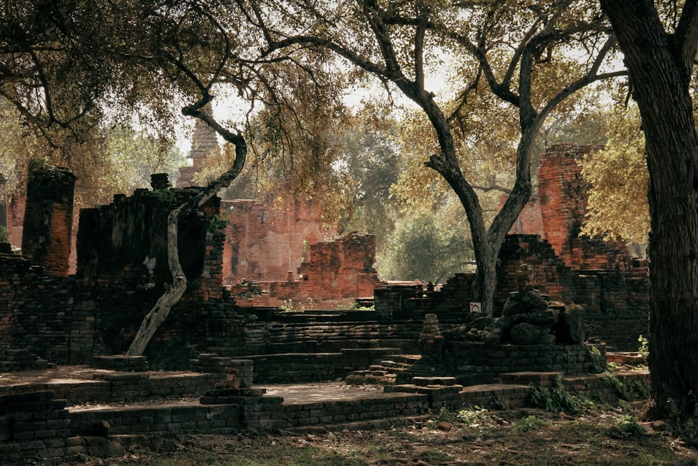 a stone building with trees around it