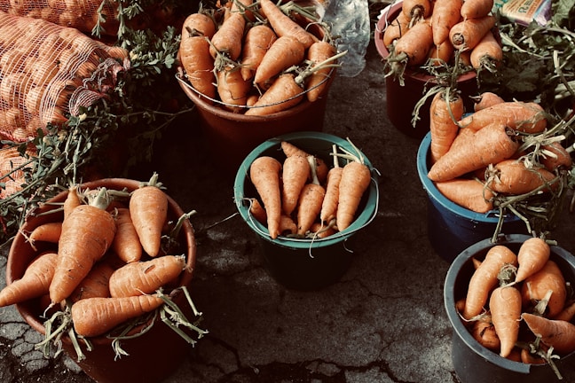Multiple buckets filled with fresh, orange carrots are arranged on a concrete surface. Some carrots still have green tops attached. A mesh bag containing additional carrots is partially visible in the background.