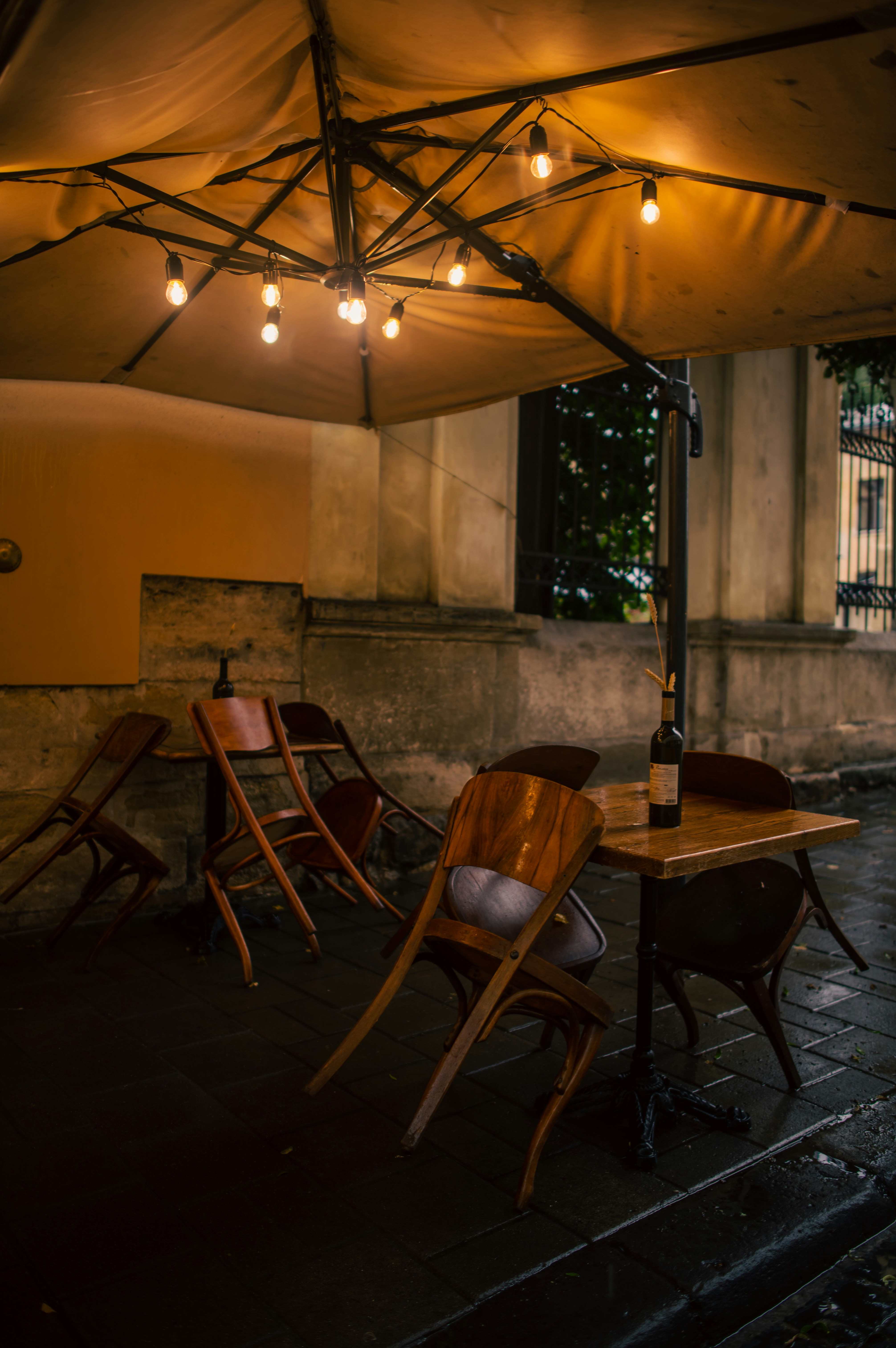 Photo by khrystynalyseyko