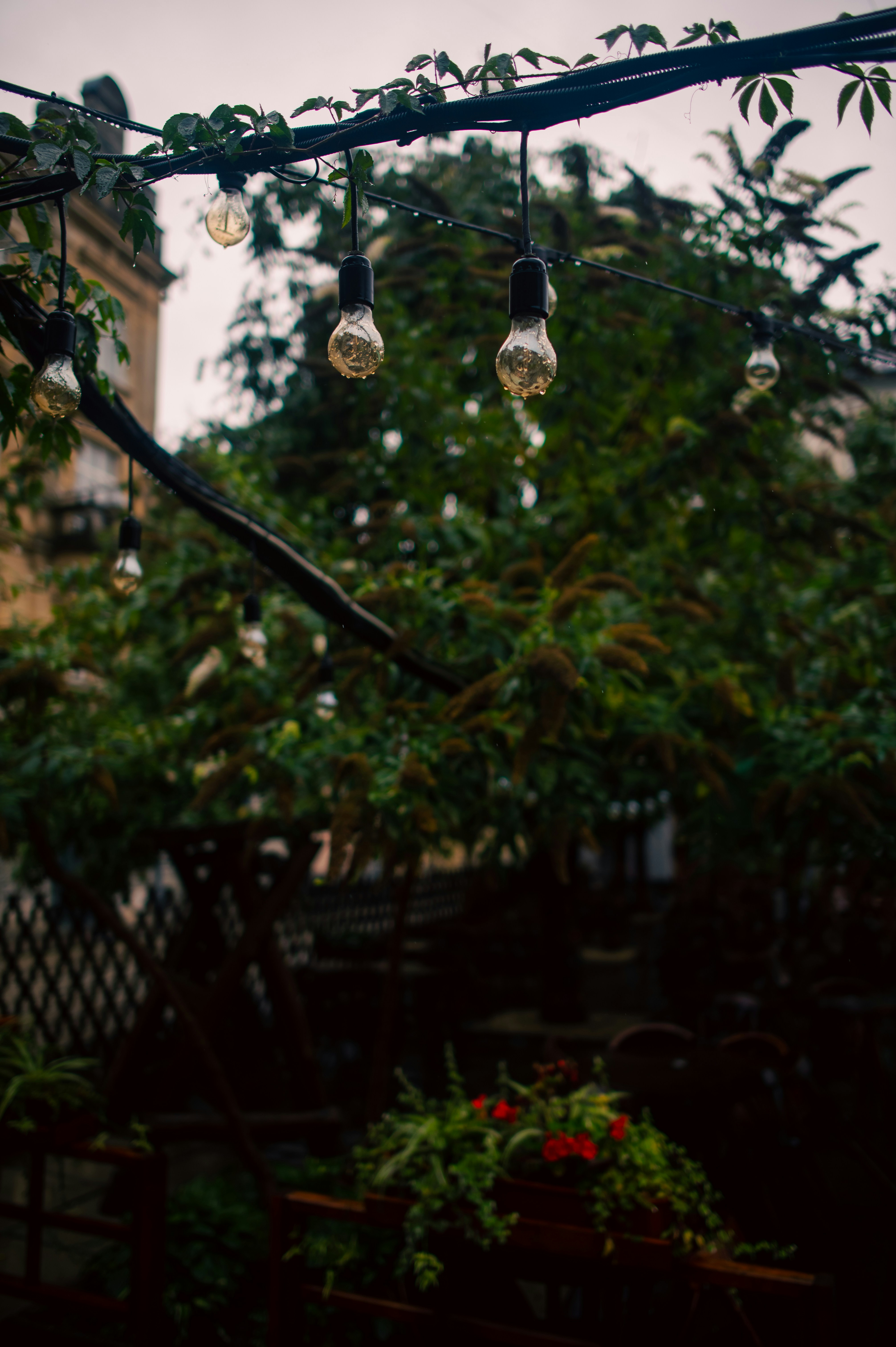 Photo by khrystynalyseyko