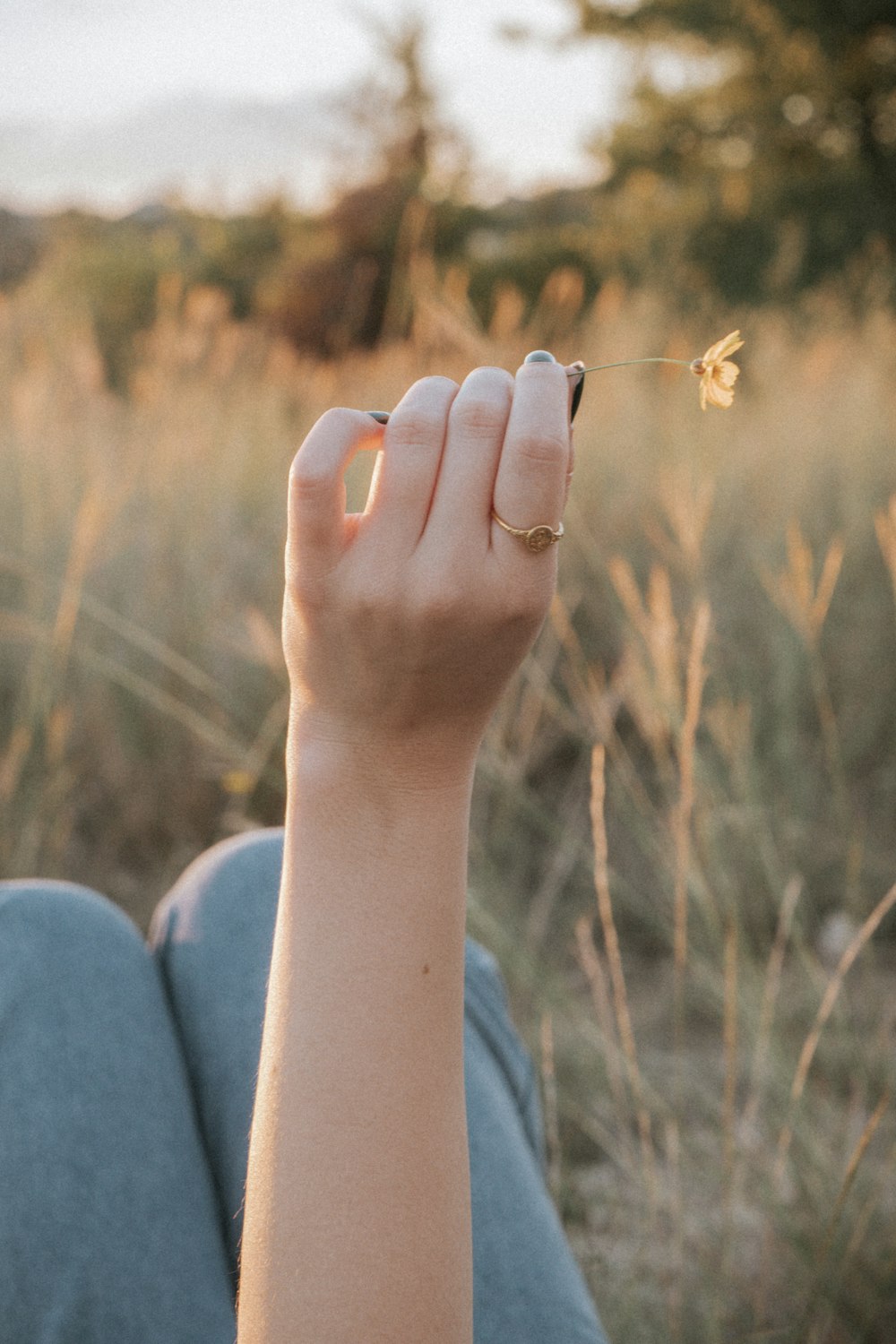 a person's hand holding a small yellow flower in a field