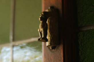 Close-up of a sleek round door knob installed on a wooden door.
