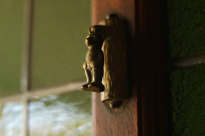 Close-up of a sleek round door knob installed on a wooden door.