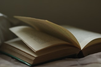 An open book with its pages slightly fanned out, resting on a surface in a dimly lit environment. The focus is on the text of the book, though specific words are not readable. The atmosphere is calm and introspective.