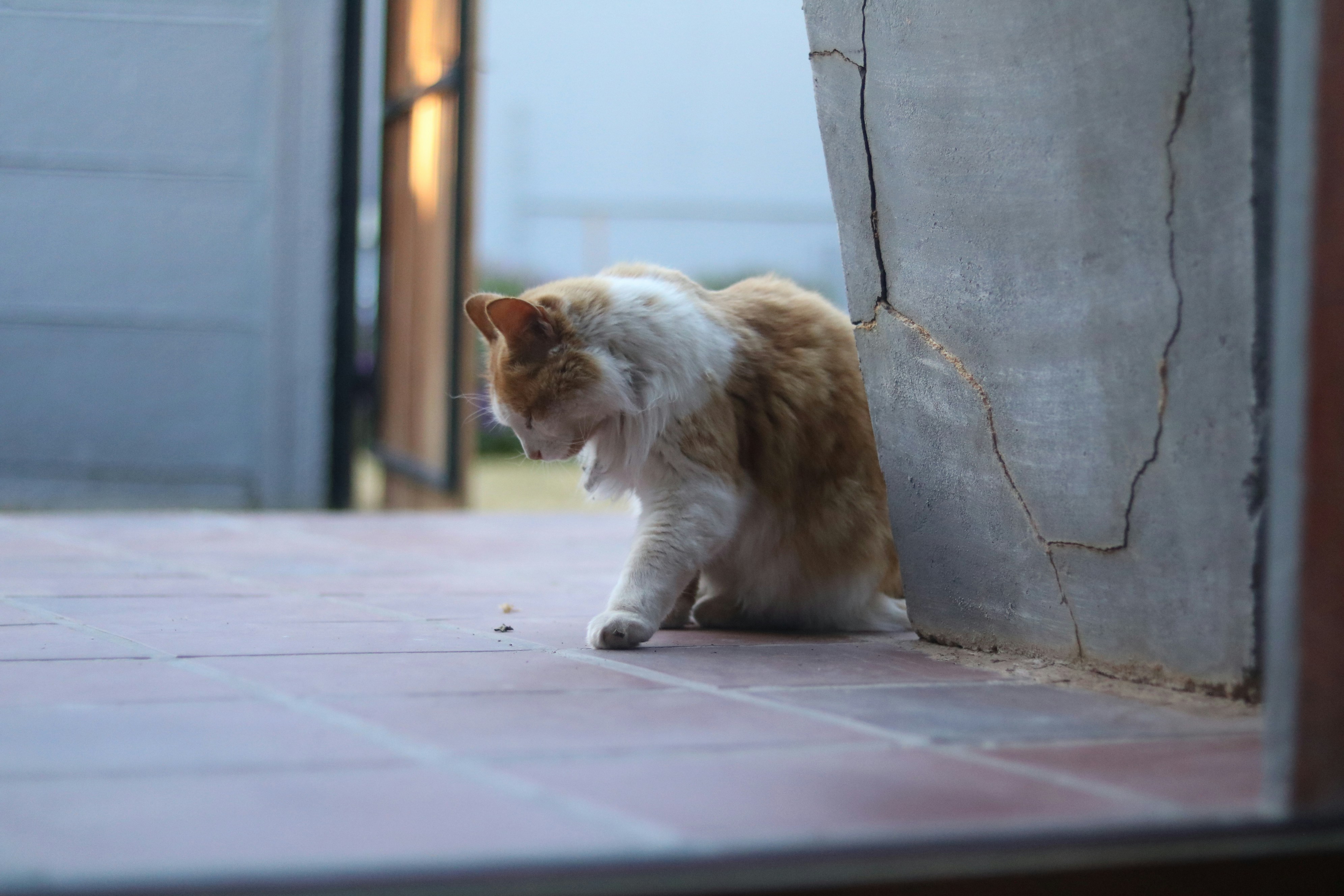 Photo by allysphotos