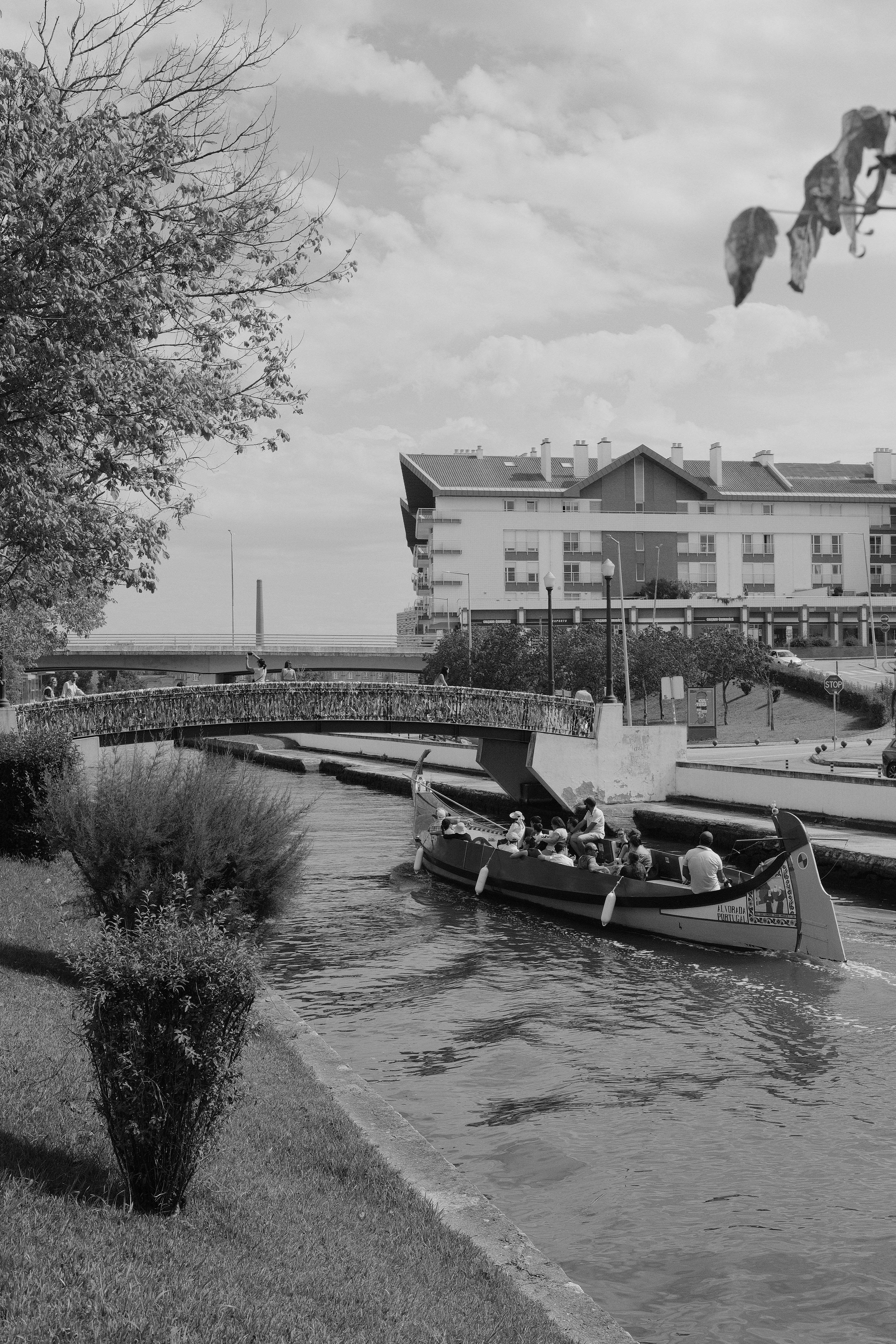 Photo by gabrielreisnf