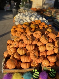 A display of small, round orange pumpkins stacked in crates. In the background, white pumpkins are visible, alongside a variety of other gourds. Brightly colored fuzzy decorations and striped items are placed at the bottom of the image, adding a playful touch.