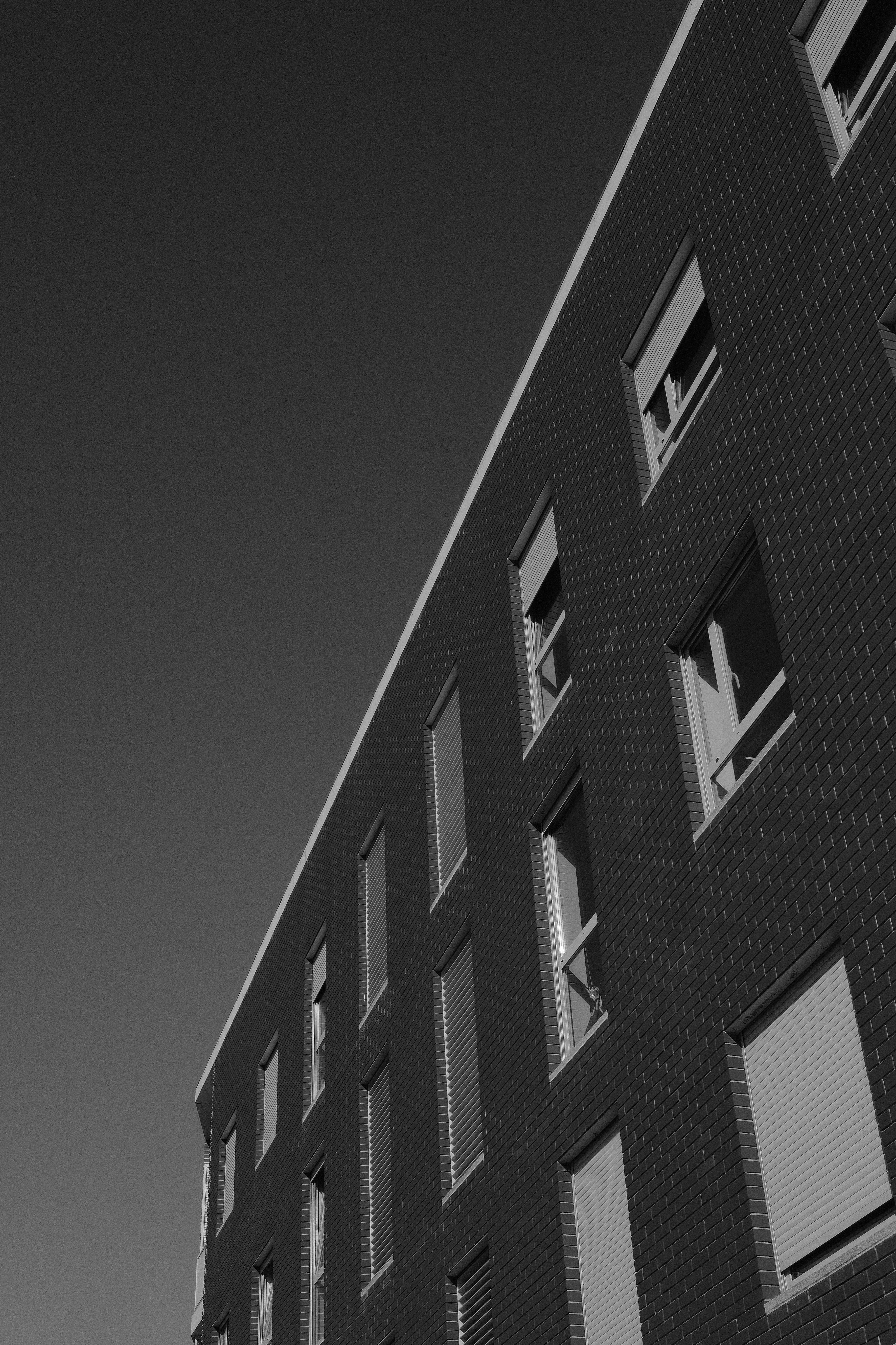 Photo by gabrielreisnf