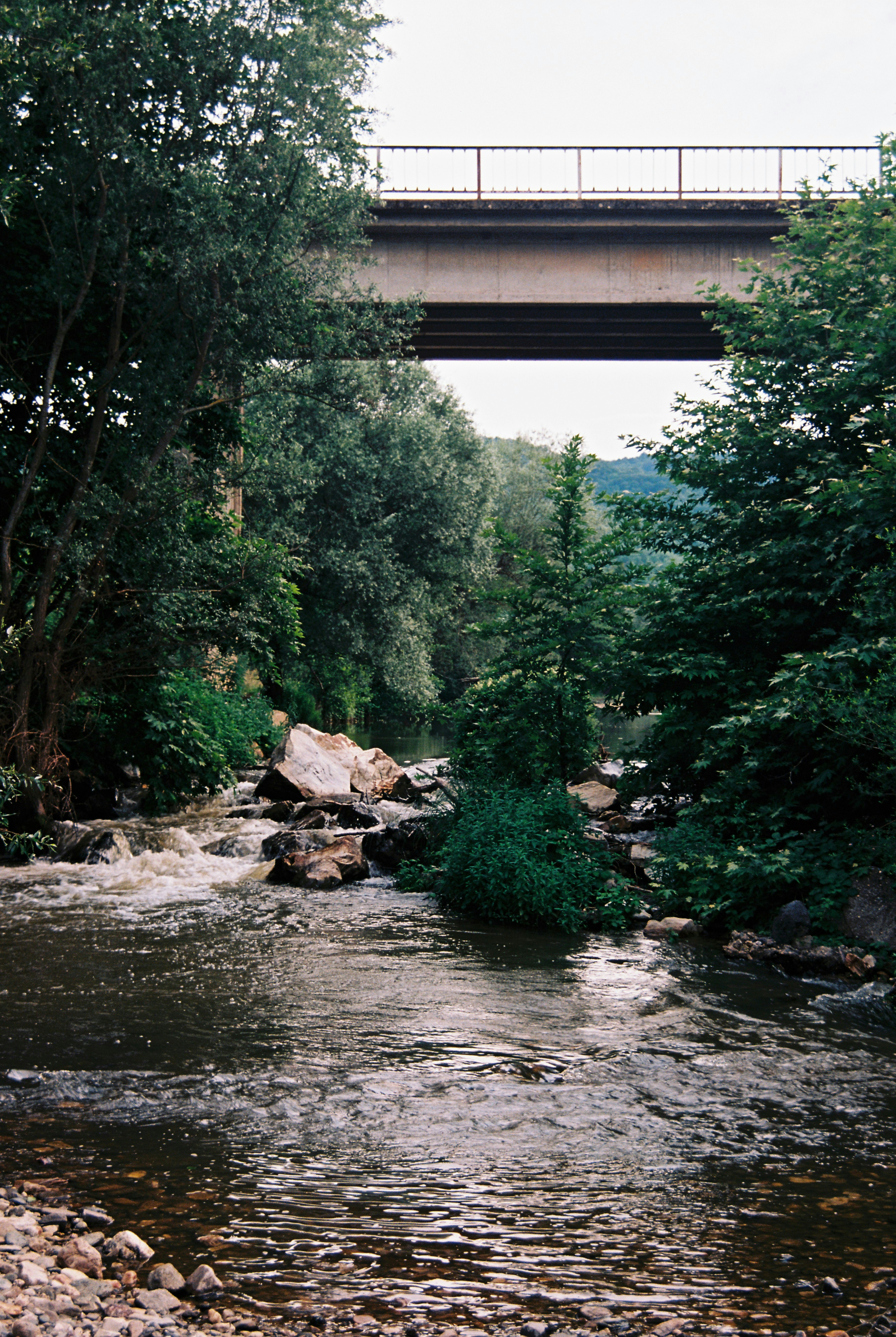 Photo by baxter_horn