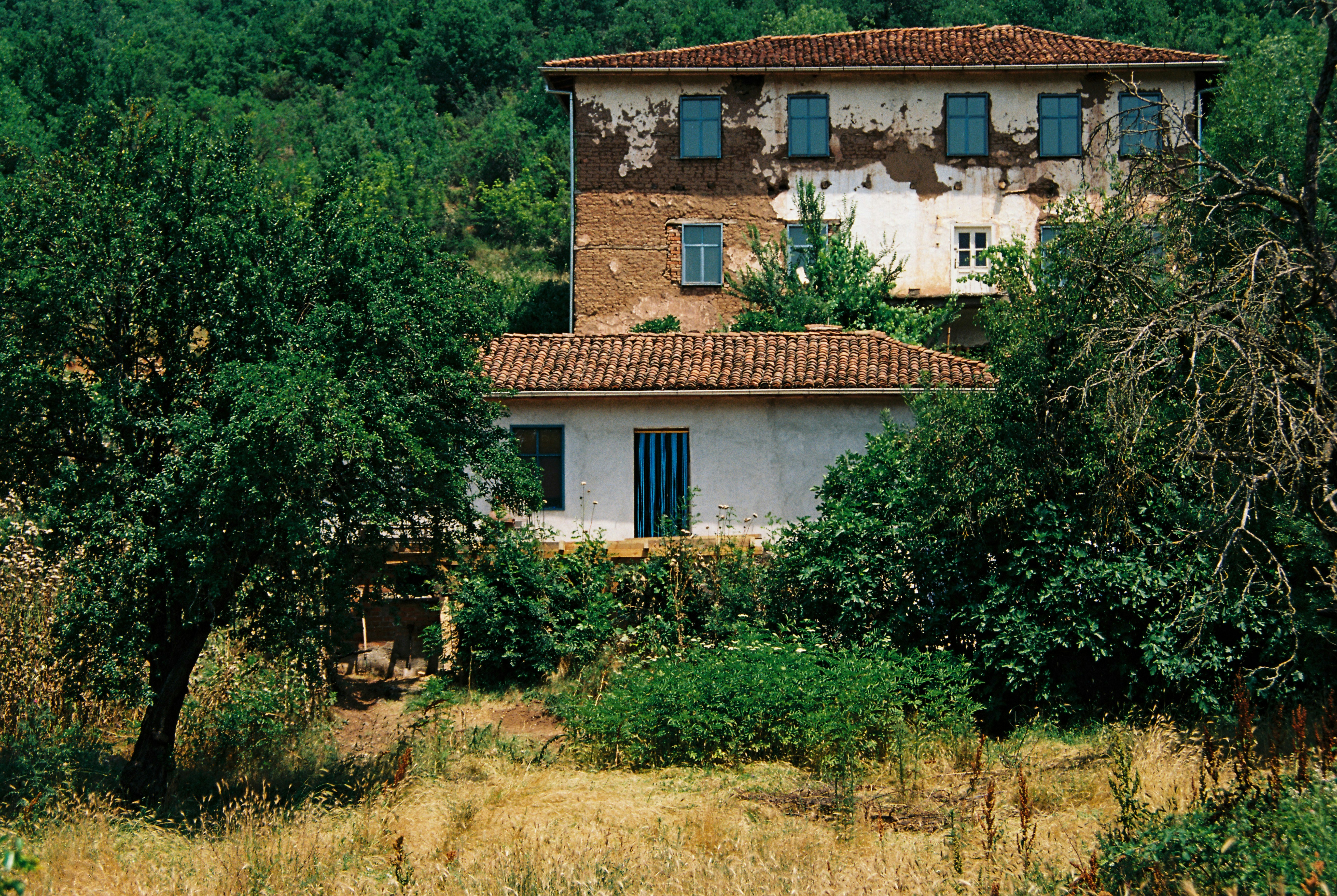 Photo by baxter_horn