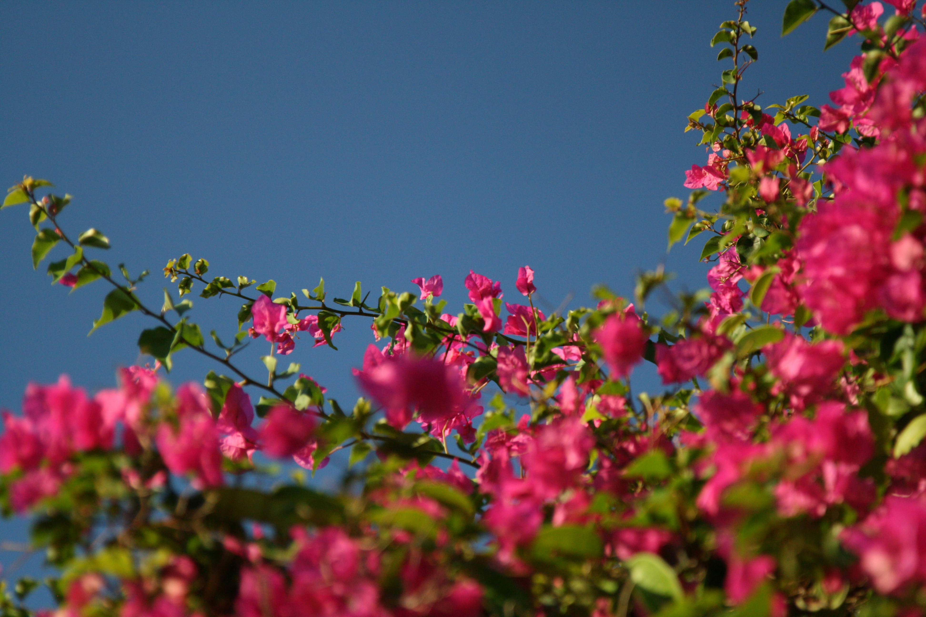 Photo by kaydnontoast