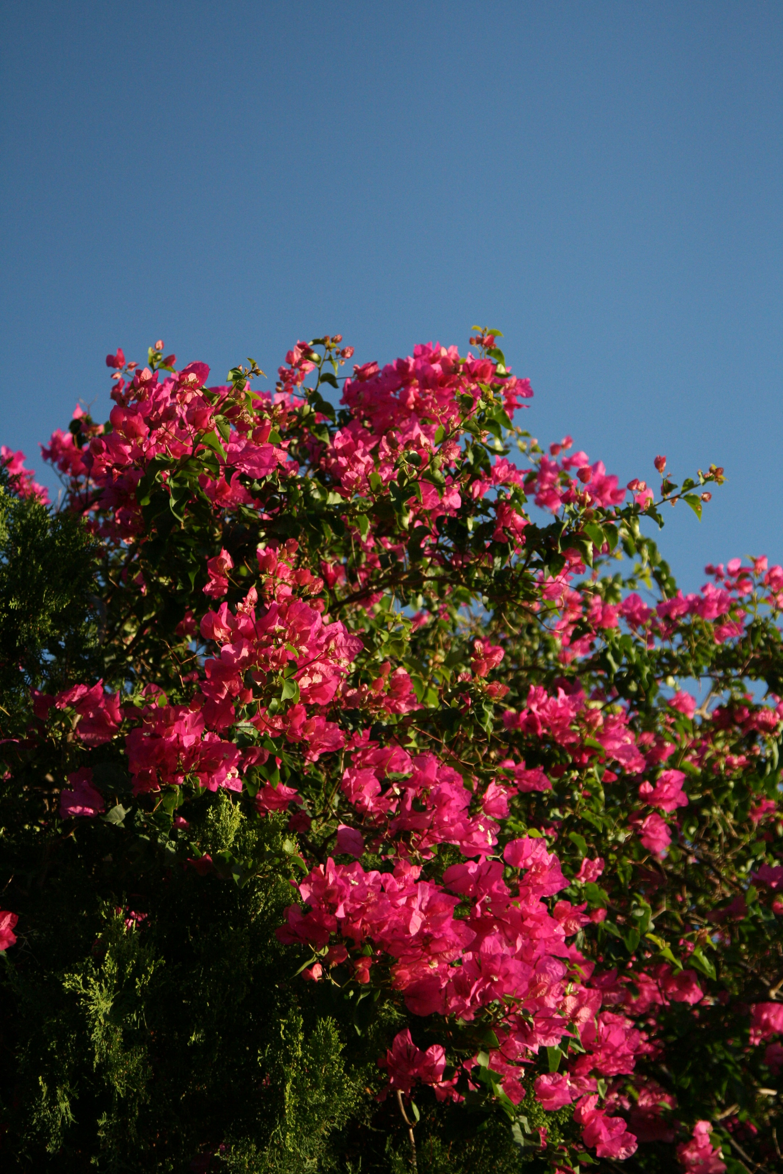 Photo by kaydnontoast