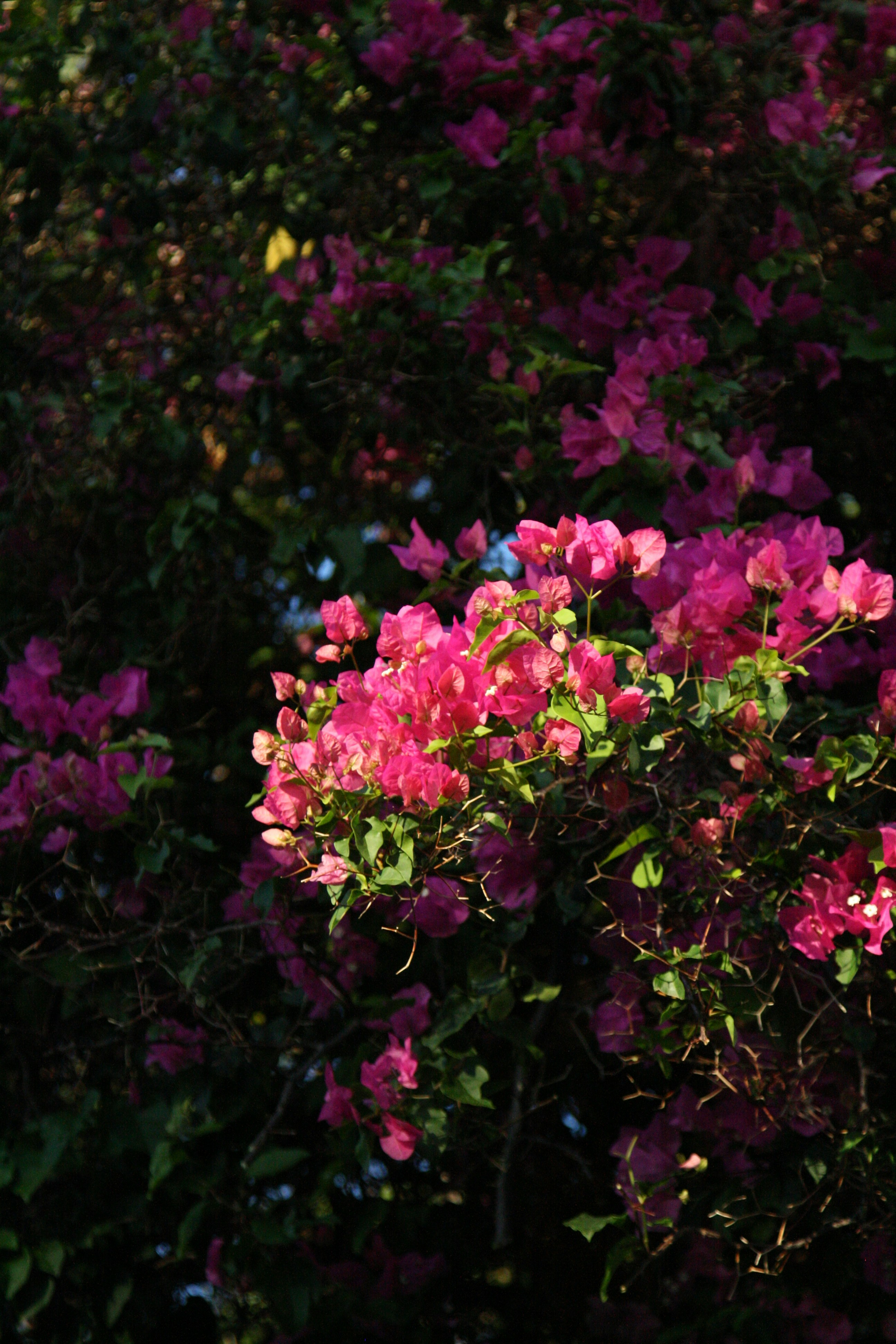 Photo by kaydnontoast