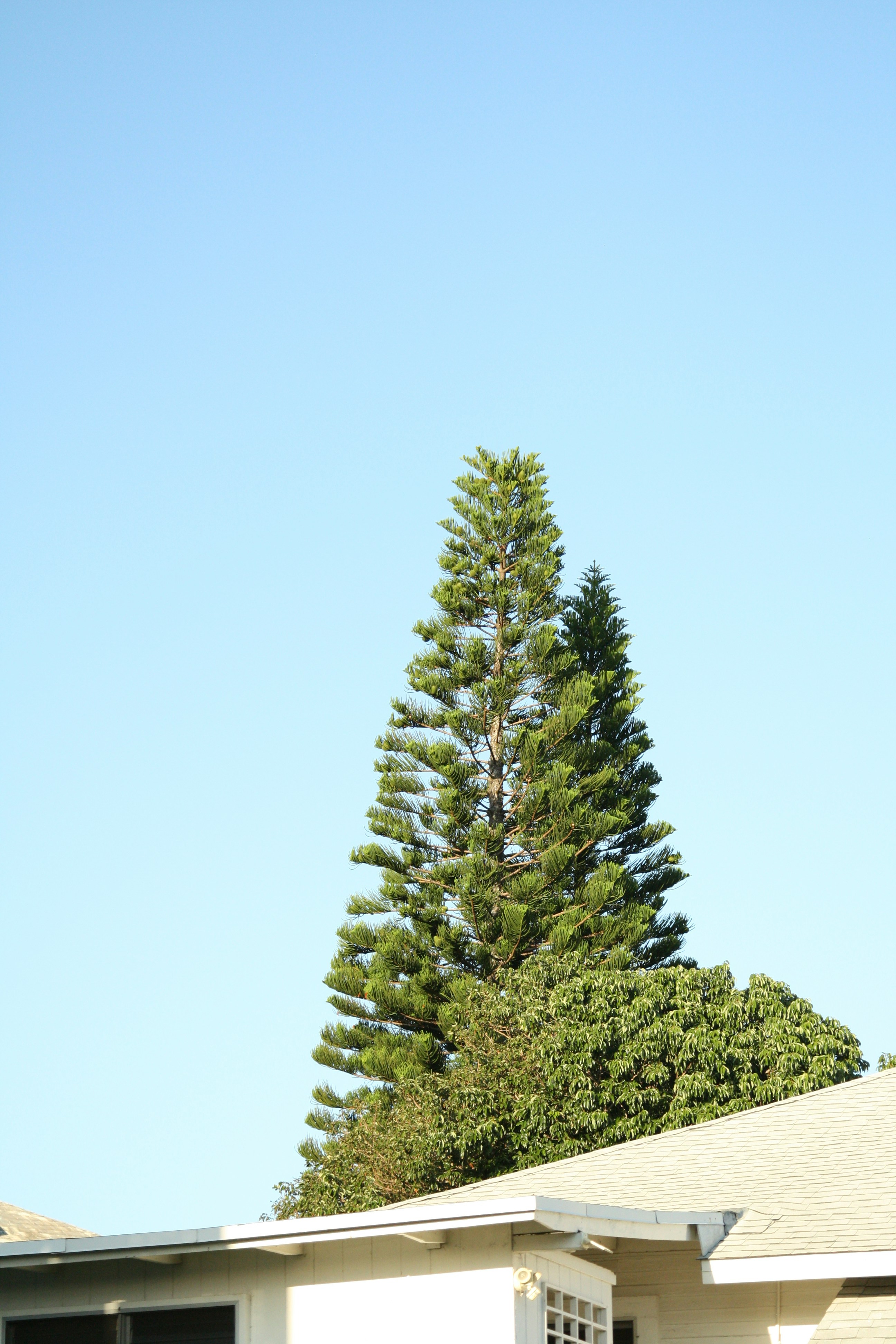 Photo by kaydnontoast