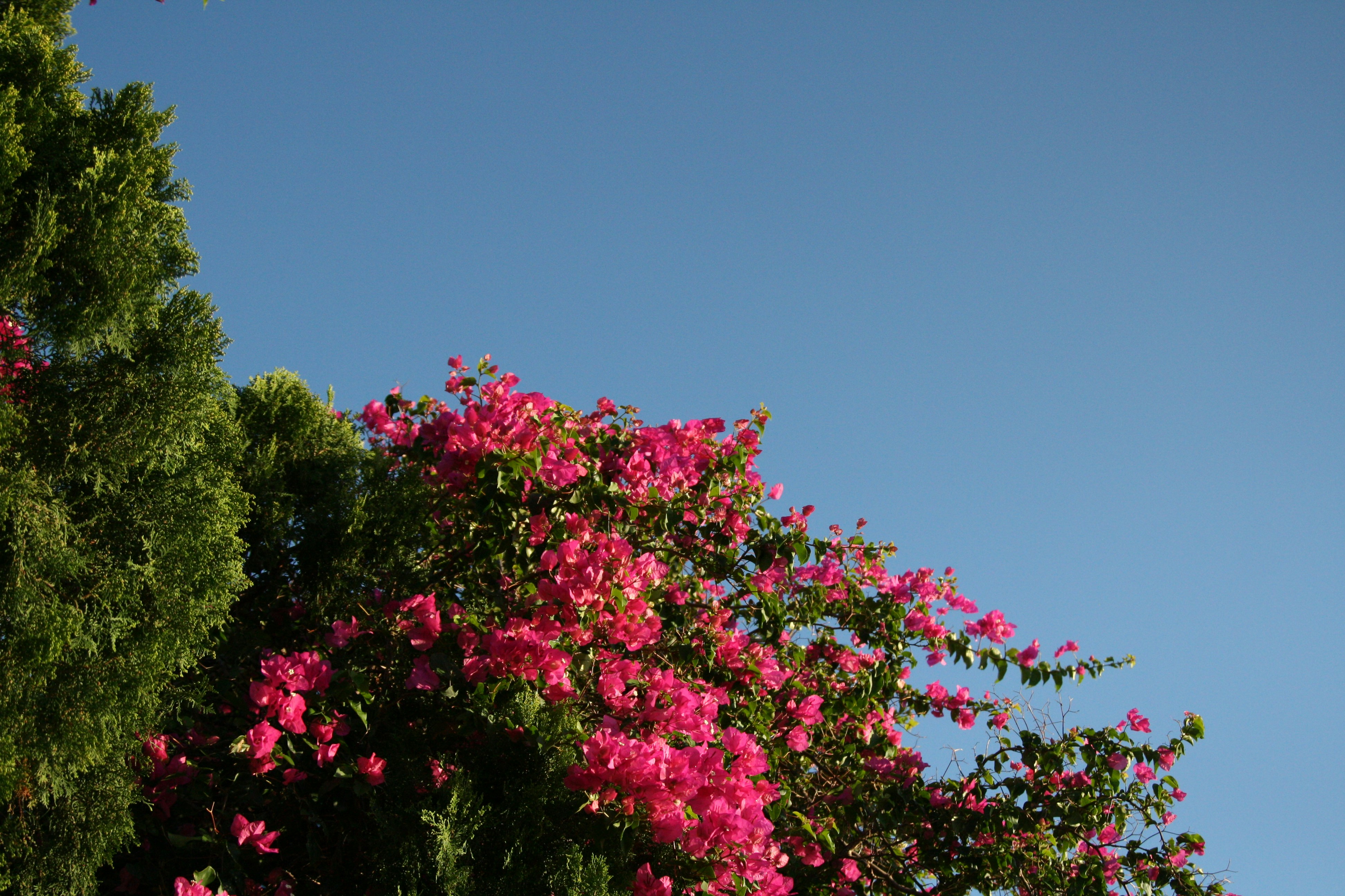 Photo by kaydnontoast