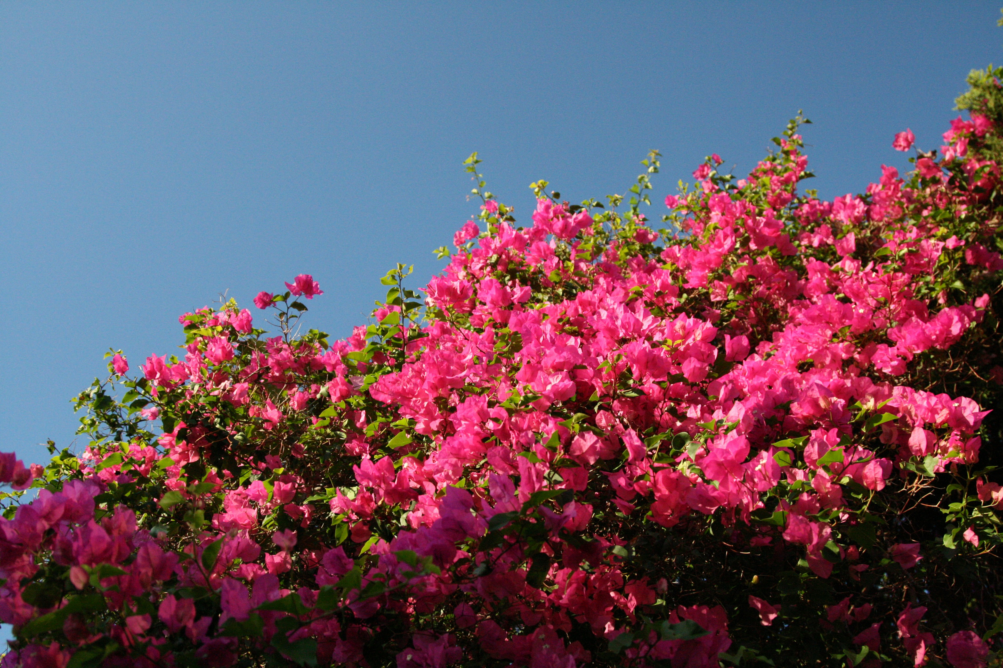 Photo by kaydnontoast