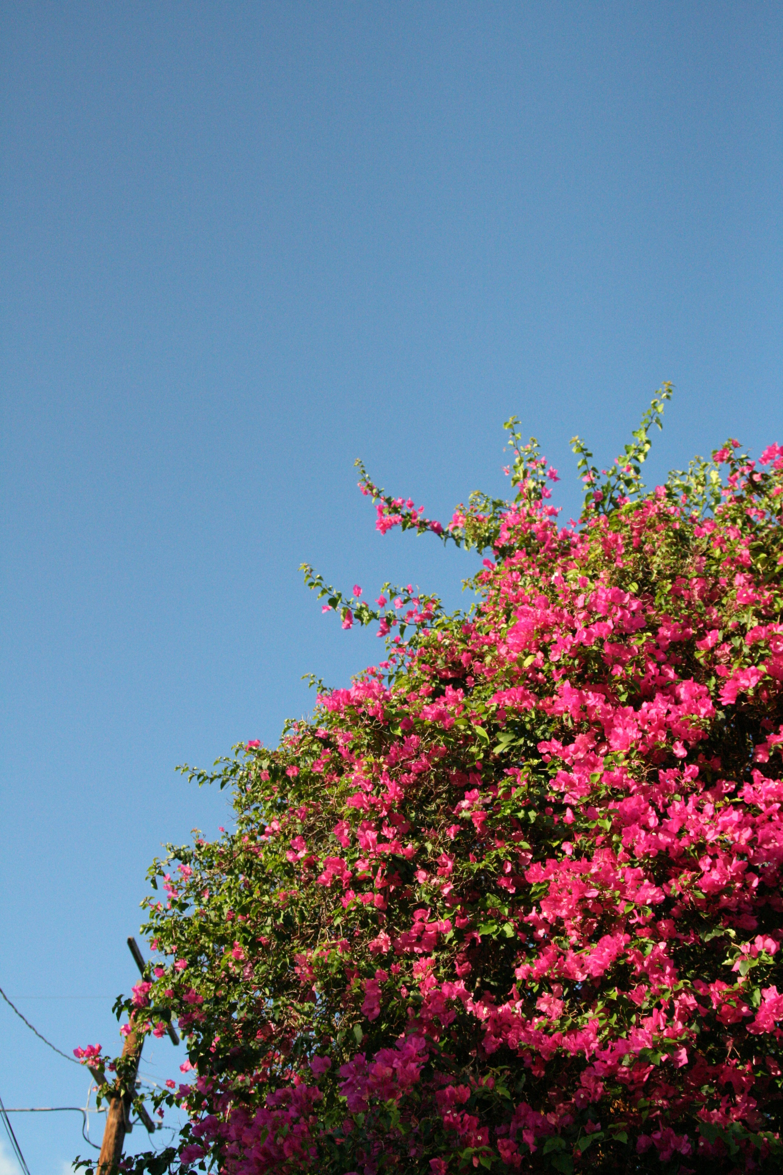 Photo by kaydnontoast