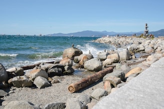 Rock seawall solution 