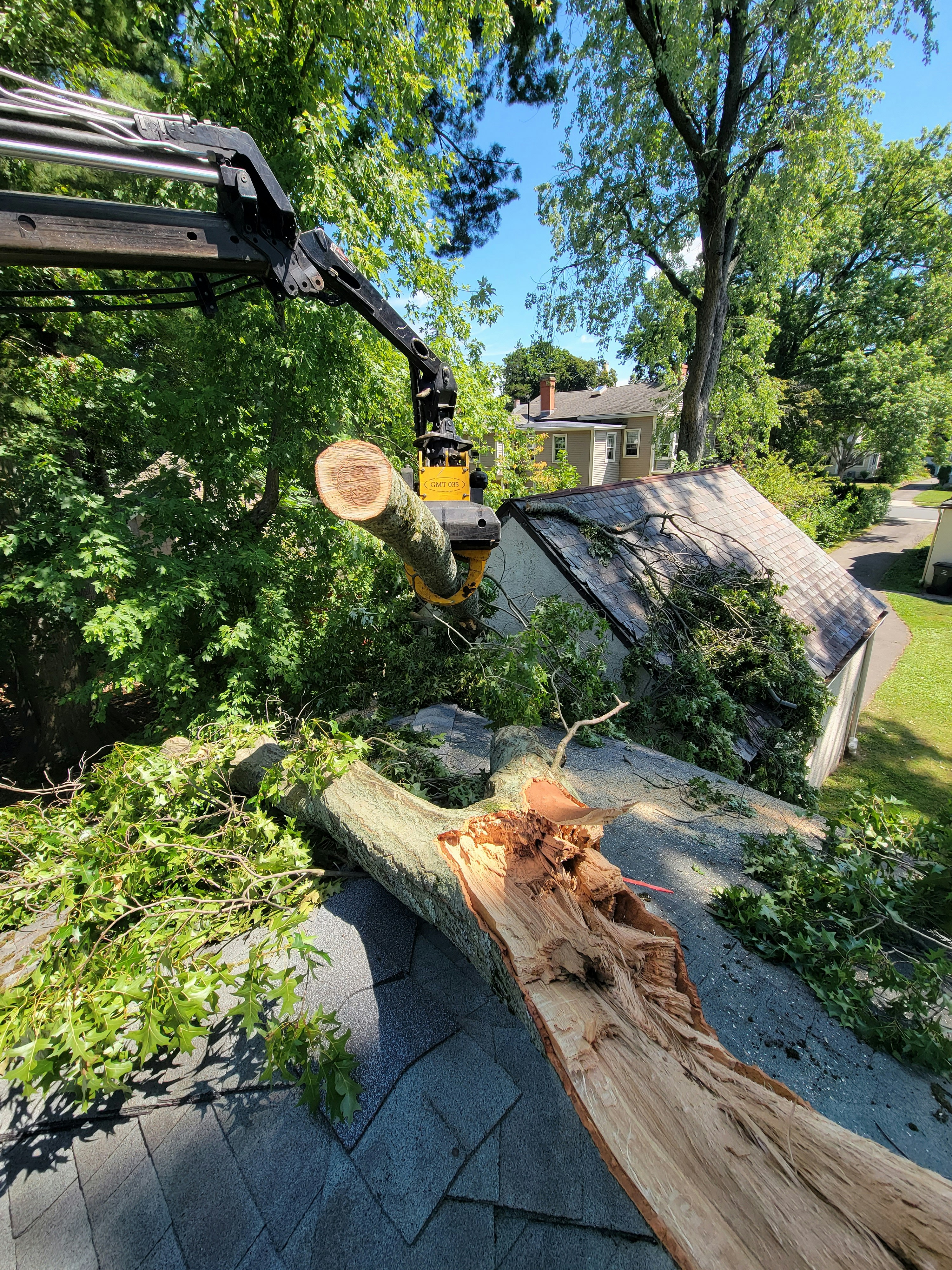 CT Tree Pros | Tree Removal & Trimming in Fairfield, CT