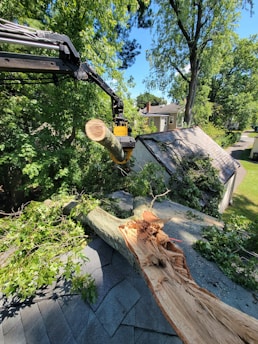 A large tree branch has fallen onto the roof of a house, causing visible damage. A mechanical arm is actively lifting a cut section of the tree. The background shows more trees and part of a house, suggesting a suburban setting.