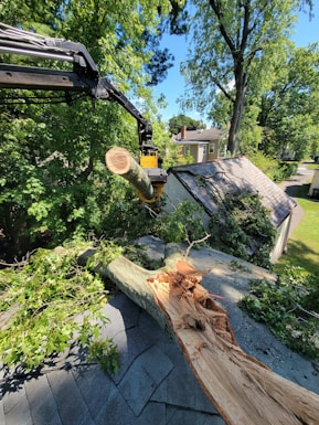 A large tree branch has fallen onto the roof of a house, causing visible damage. A mechanical arm is actively lifting a cut section of the tree. The background shows more trees and part of a house, suggesting a suburban setting.