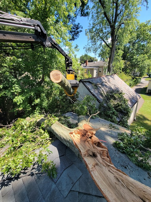 A large tree branch has fallen onto the roof of a house, causing visible damage. A mechanical arm is actively lifting a cut section of the tree. The background shows more trees and part of a house, suggesting a suburban setting.