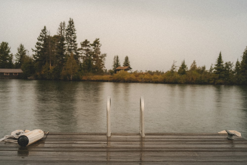 a body of water with trees in the background