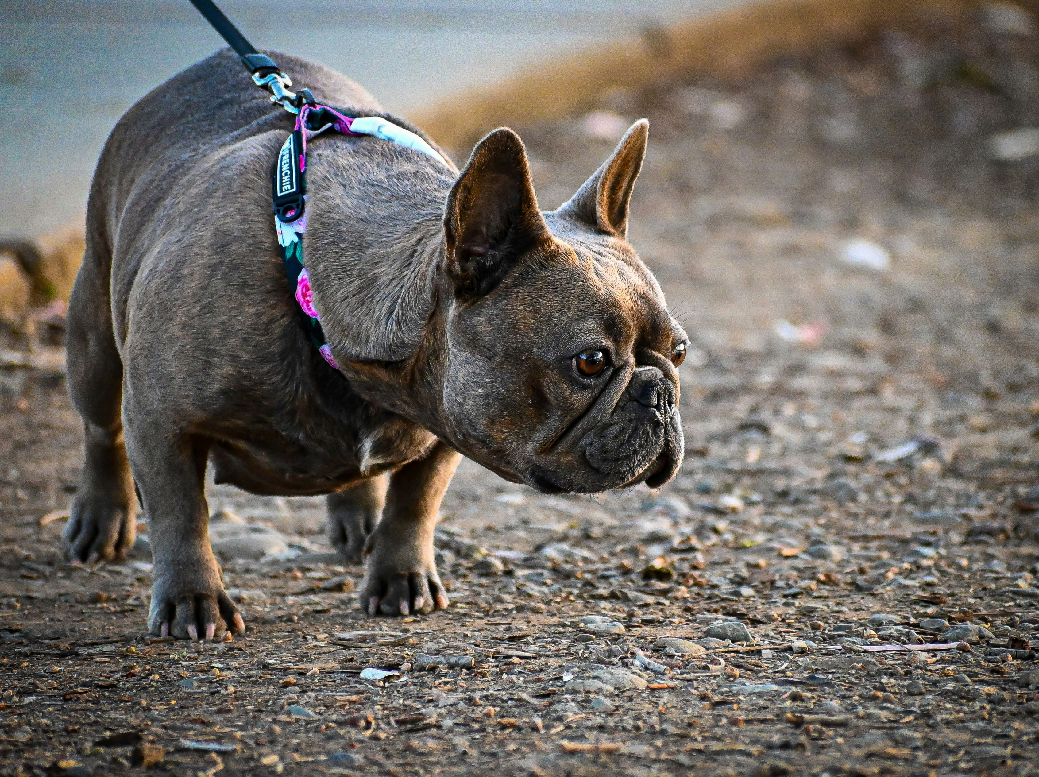 Photo by cristina_glebova