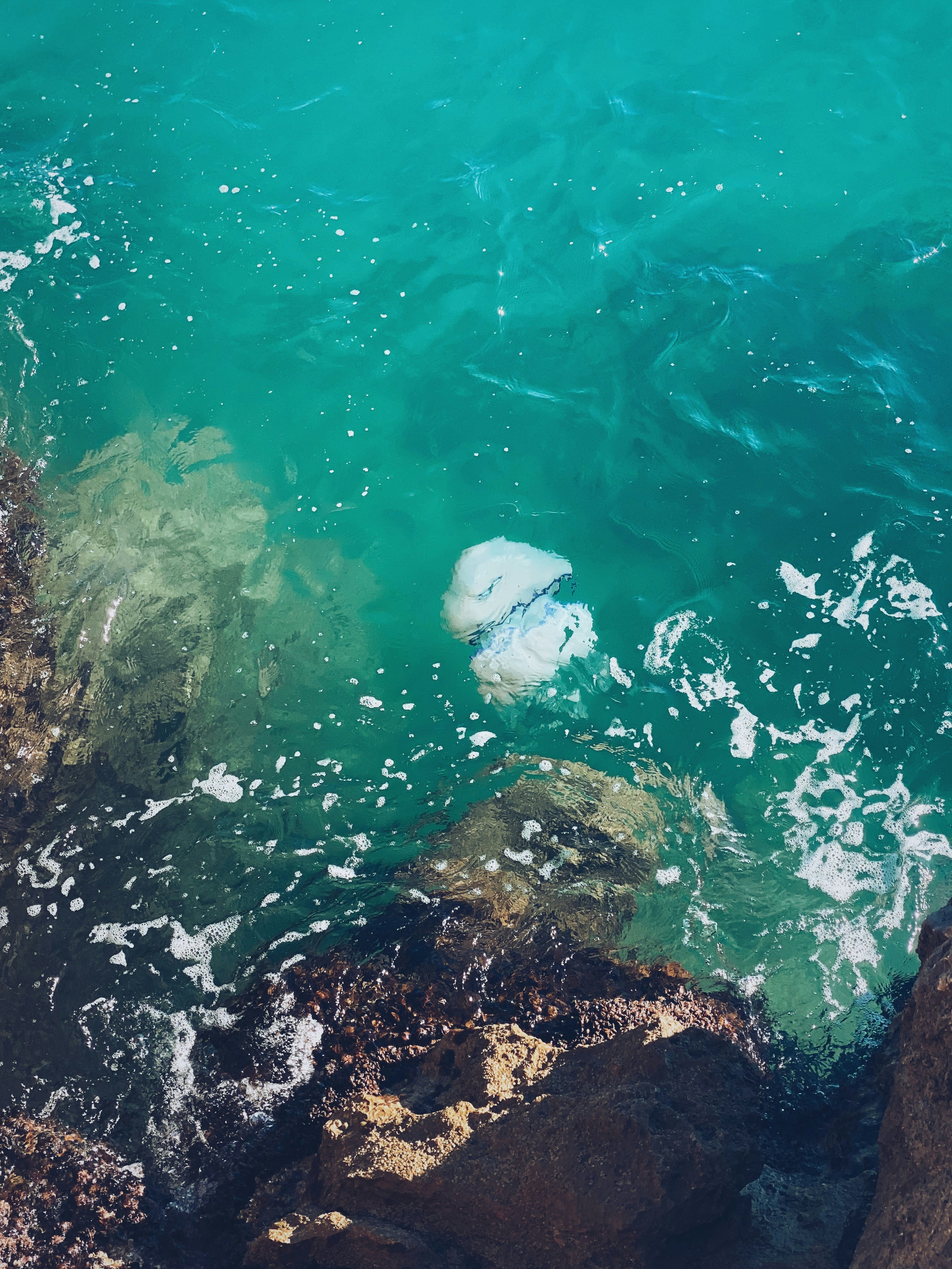 an aerial view of a body of water