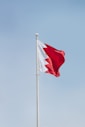 a flag on a flagpole