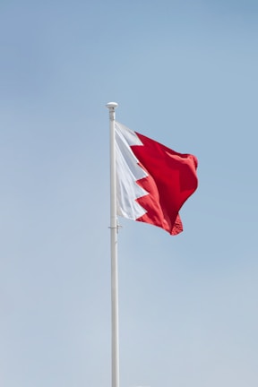 a flag on a flagpole