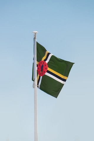 a flag on a pole