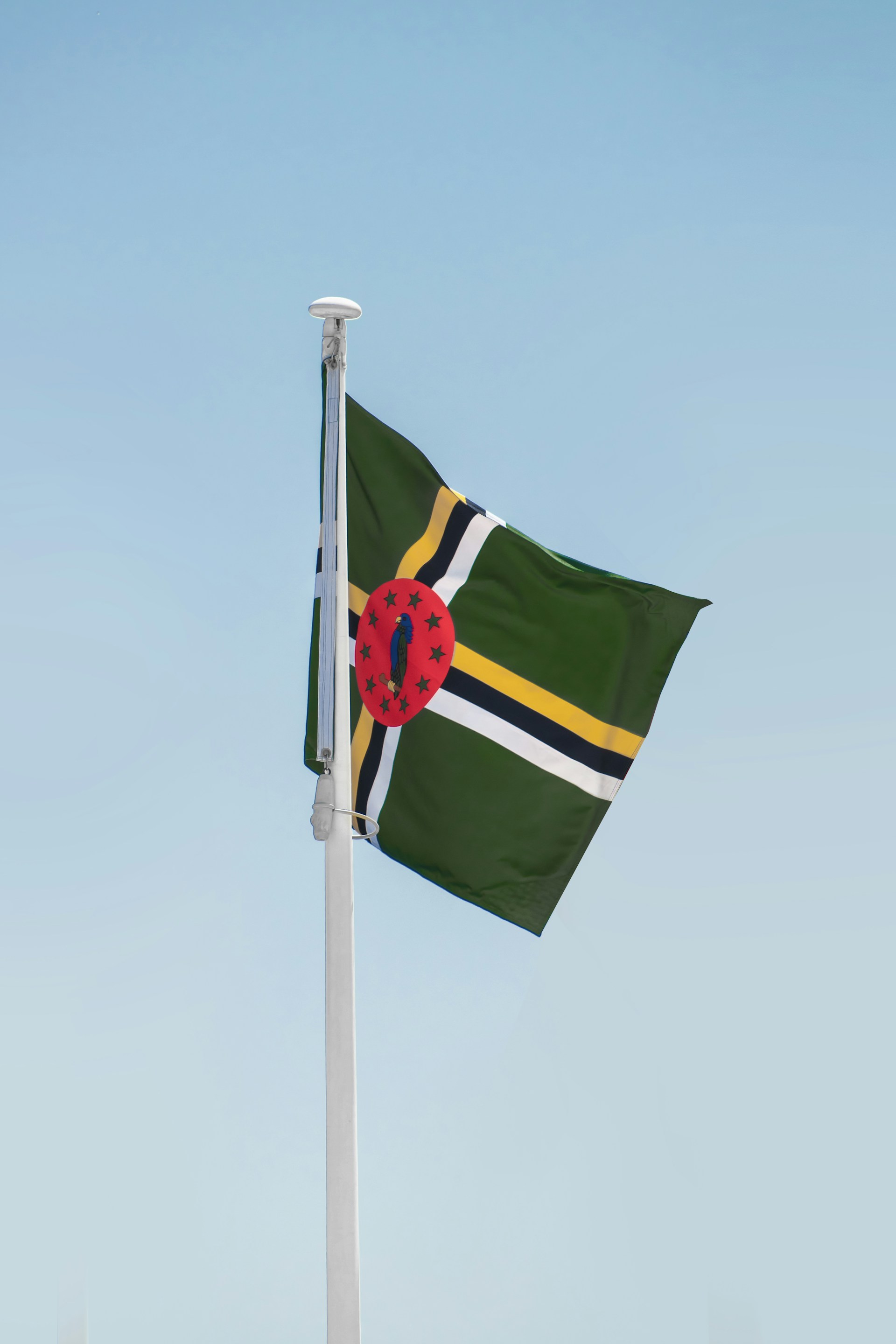 a flag on a pole