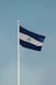 a blue and white flag on a flagpole